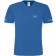 color:royal